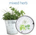 Mini herb pail.png